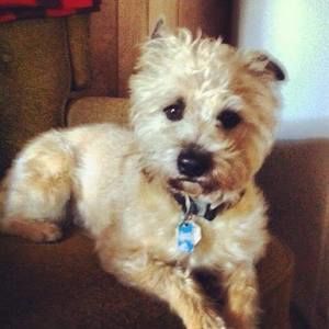 Meet your Posher, Dave